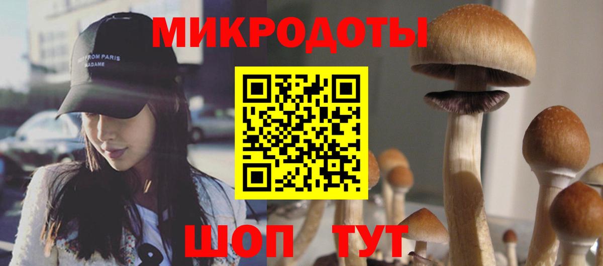 где найти   Галлюциногенные грибы мухоморы  Сургут  Вход с VPN  Псилоцибиновые грибы GOLDEN TEACHER 